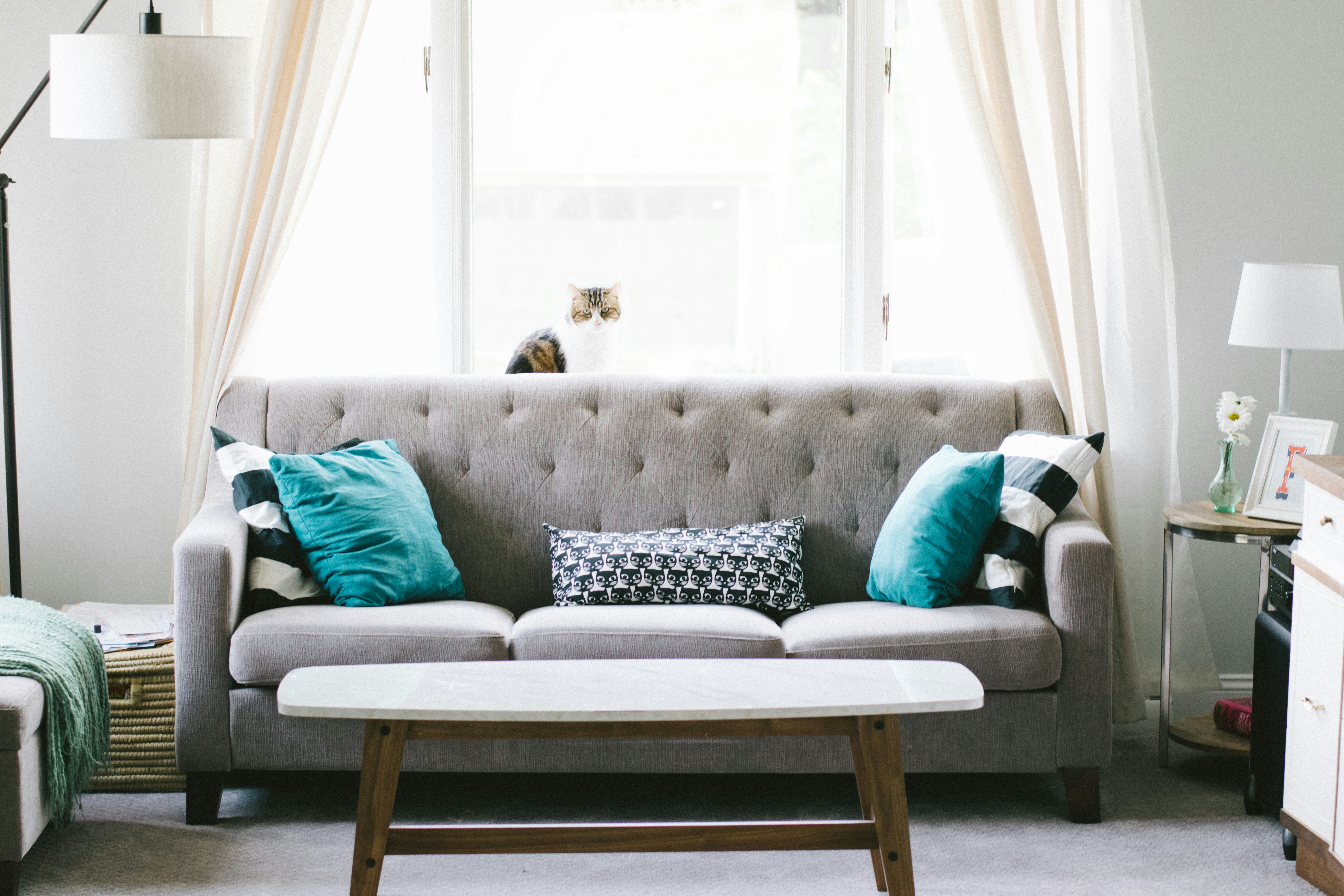 Custom New Sofa Design & Manufacturing in Noida